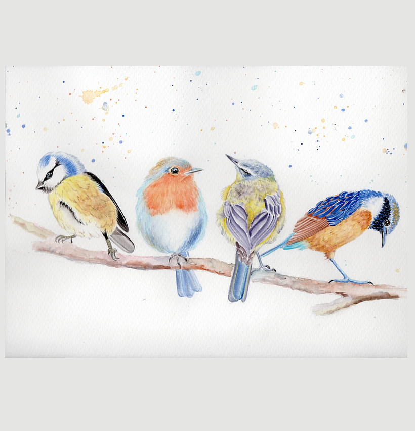 Mi Proyecto del curso: Acuarela artística para ilustración de aves 6