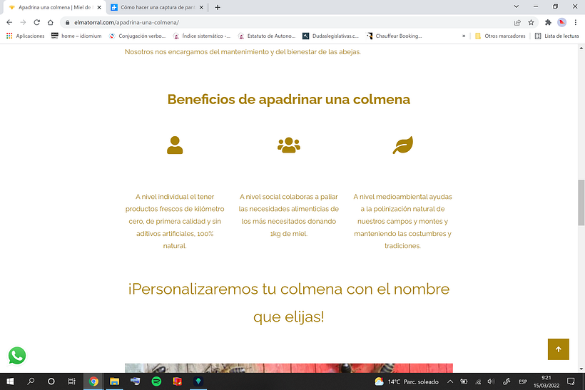 Mi Proyecto del curso: Creación de una web profesional con WordPress 3