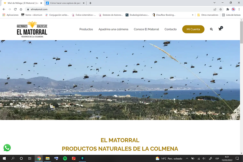 Mi Proyecto del curso: Creación de una web profesional con WordPress 5