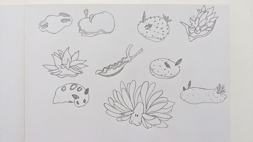 Sketches for the sea bunnies