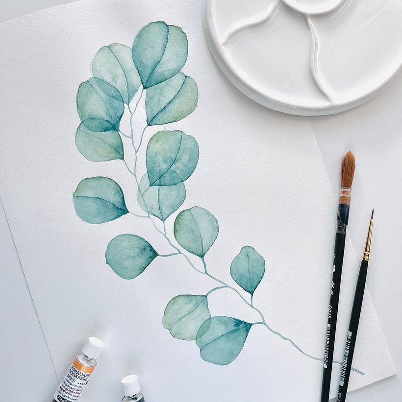 Eucalyptus