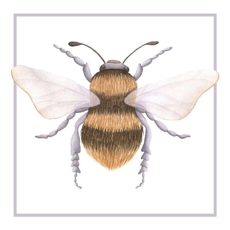 Bumblebee