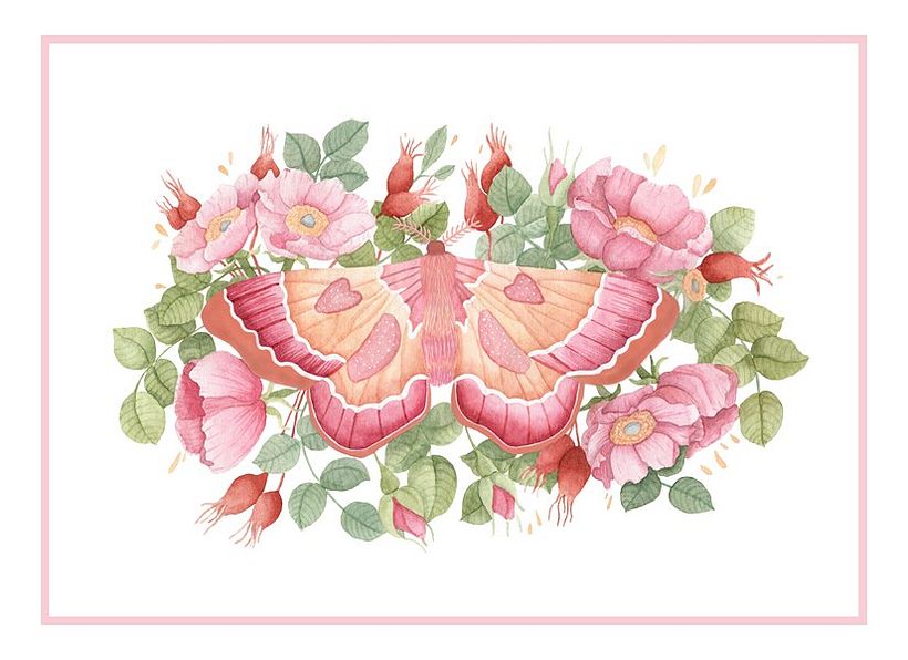 Butterfly and dog-roses