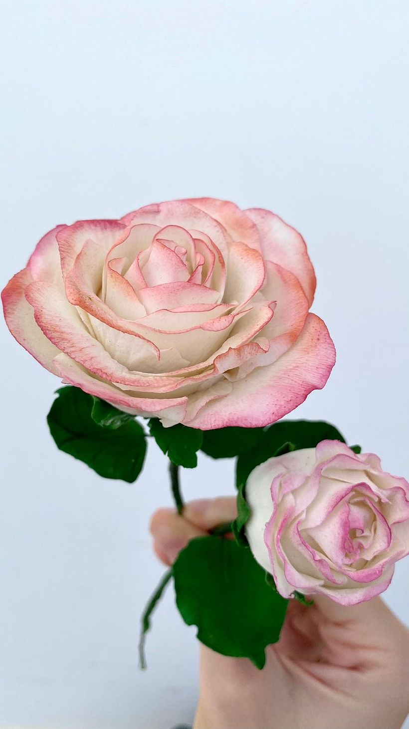 Rose @primeroelpostre_