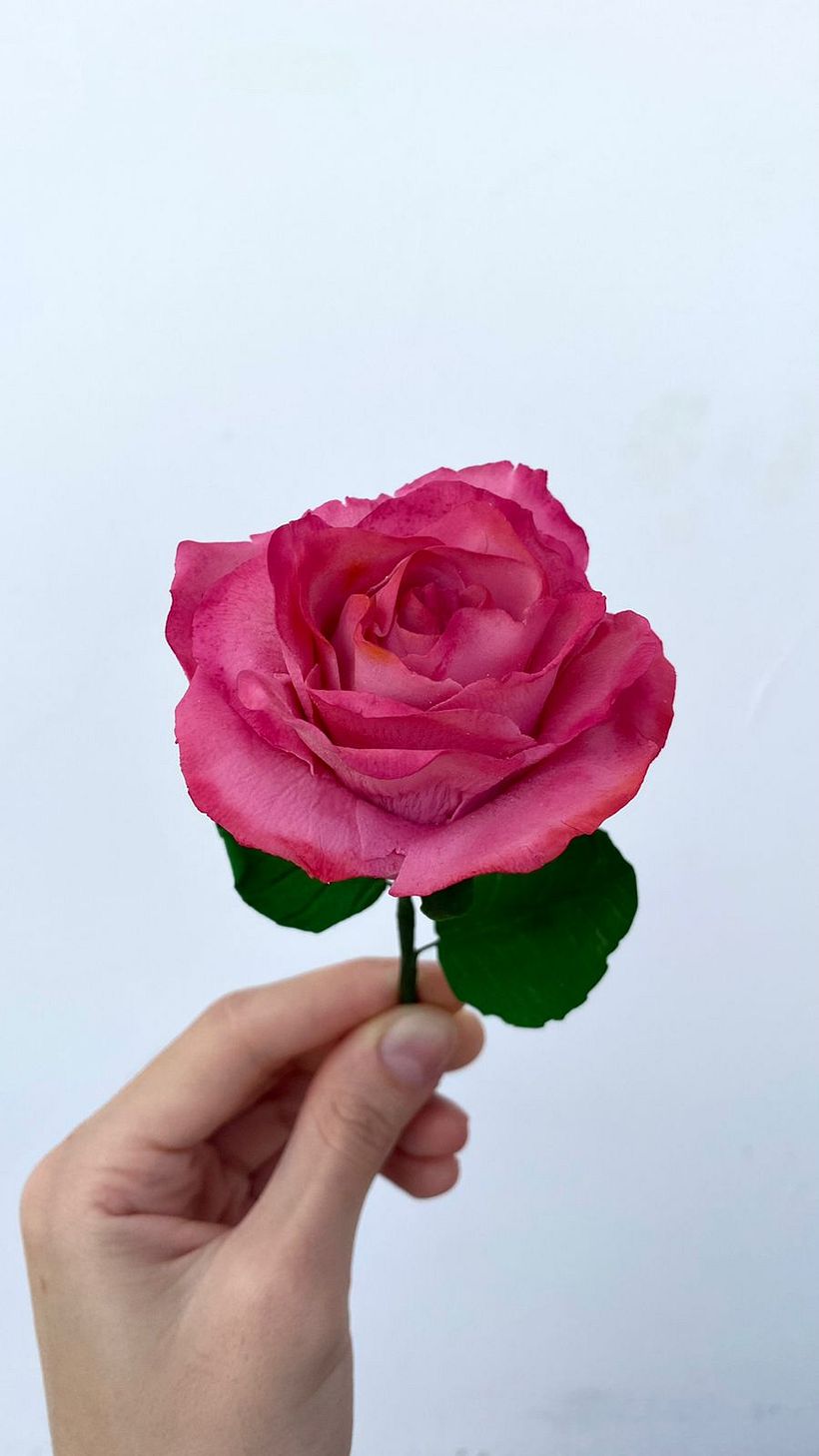 Proyecto final @primeroelpostre_ 6