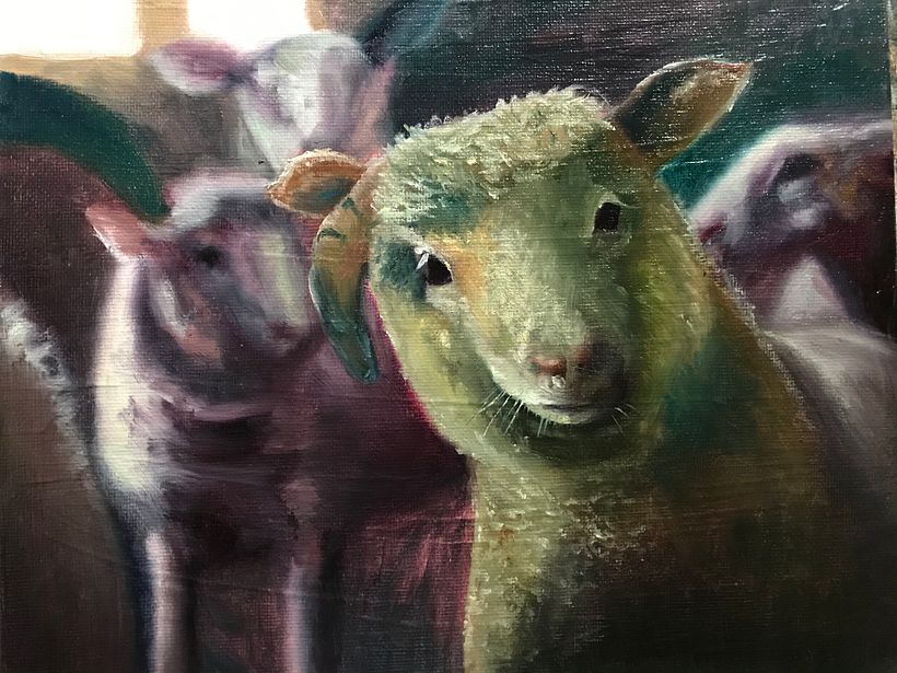 Oil Paintings - Some others I’ve done 8