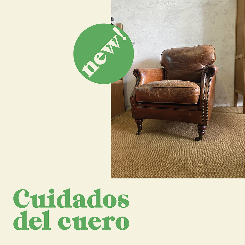 Mi Proyecto del curso: Diseño gráfico para principiantes 6