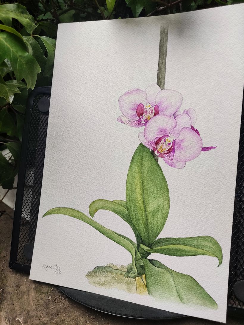 Obra terminada