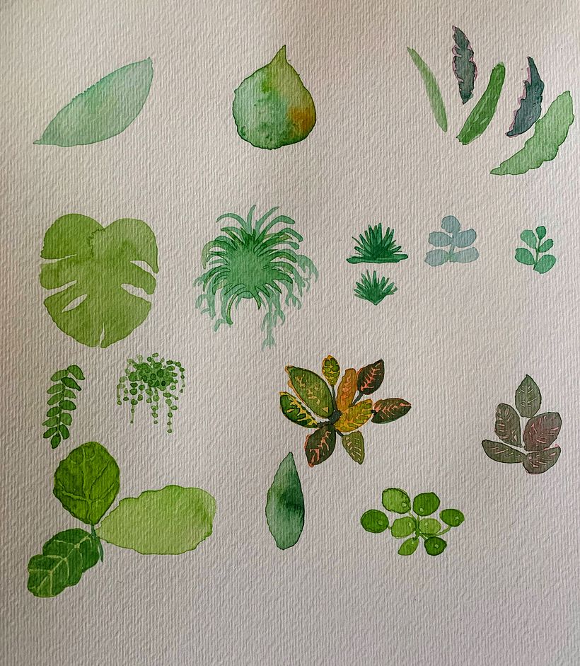 Plant study