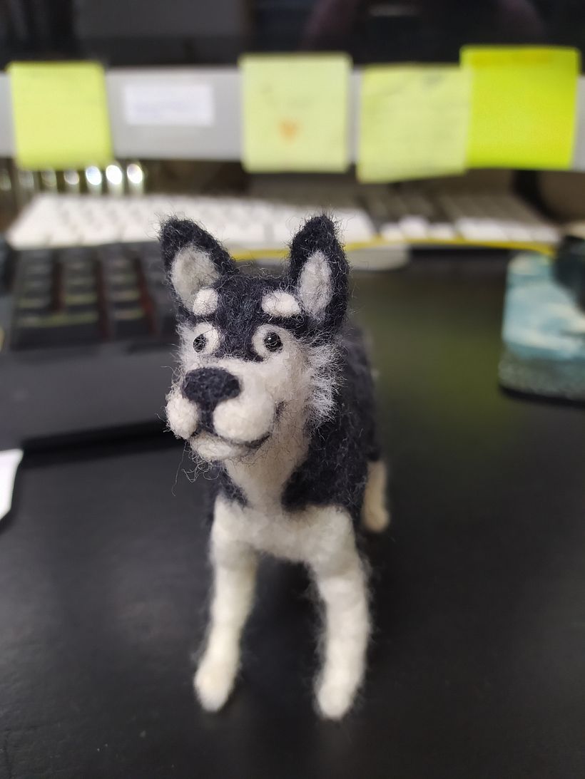 Criação de animais com needle felting- Husky 1