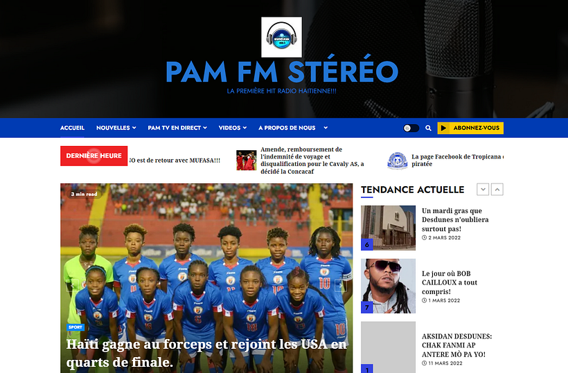 Mon projet du cours : Création d’un site professionnel avec WordPress 4