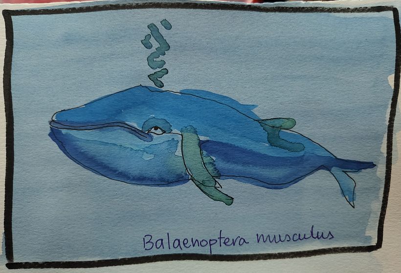 My project for course: Creative Watercolor Sketching for Beginners 20