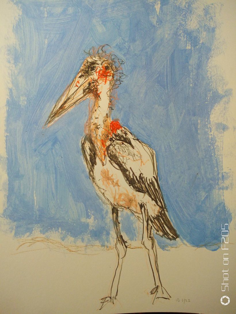 My project for course: Illustrating Nature: A Creative Exploration - Ilustrație tradițională