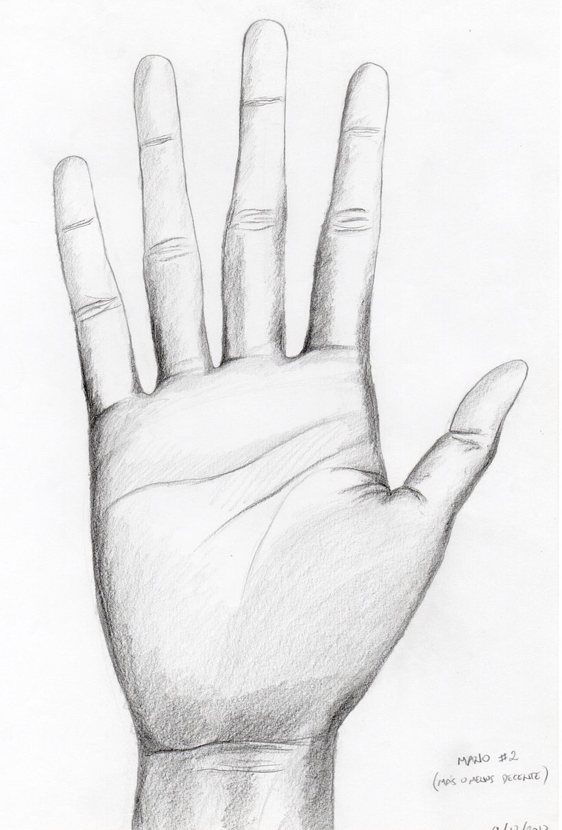 Mi Proyecto del curso: Dibujo para principiantes nivel -1 1