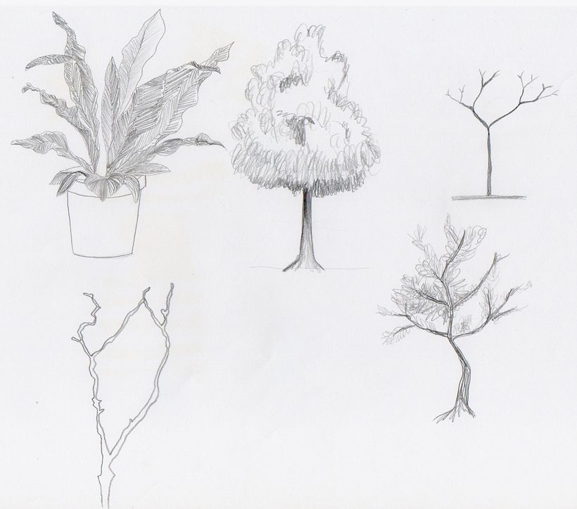 Mi Proyecto del curso: Dibujo para principiantes nivel -1 6