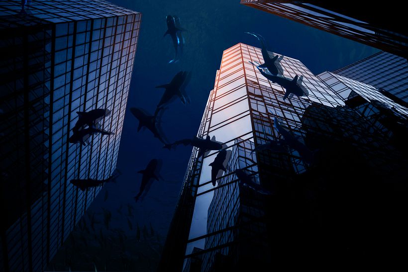 Sharks  - Design 