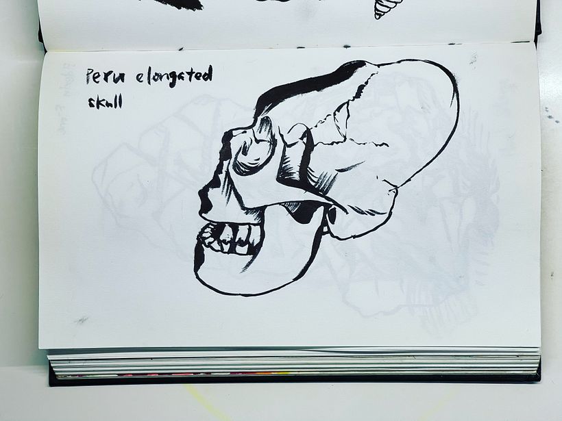 My project for course: Daily Sketching for Creative Inspiration 3