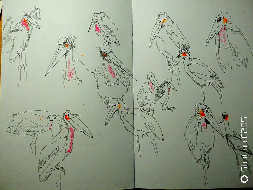 My project for course: Illustrating Nature: A Creative Exploration - Ilustrație tradițională