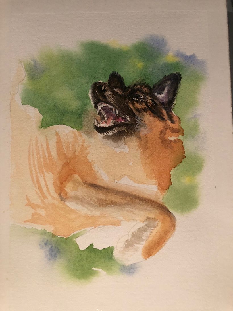 Early Progress
