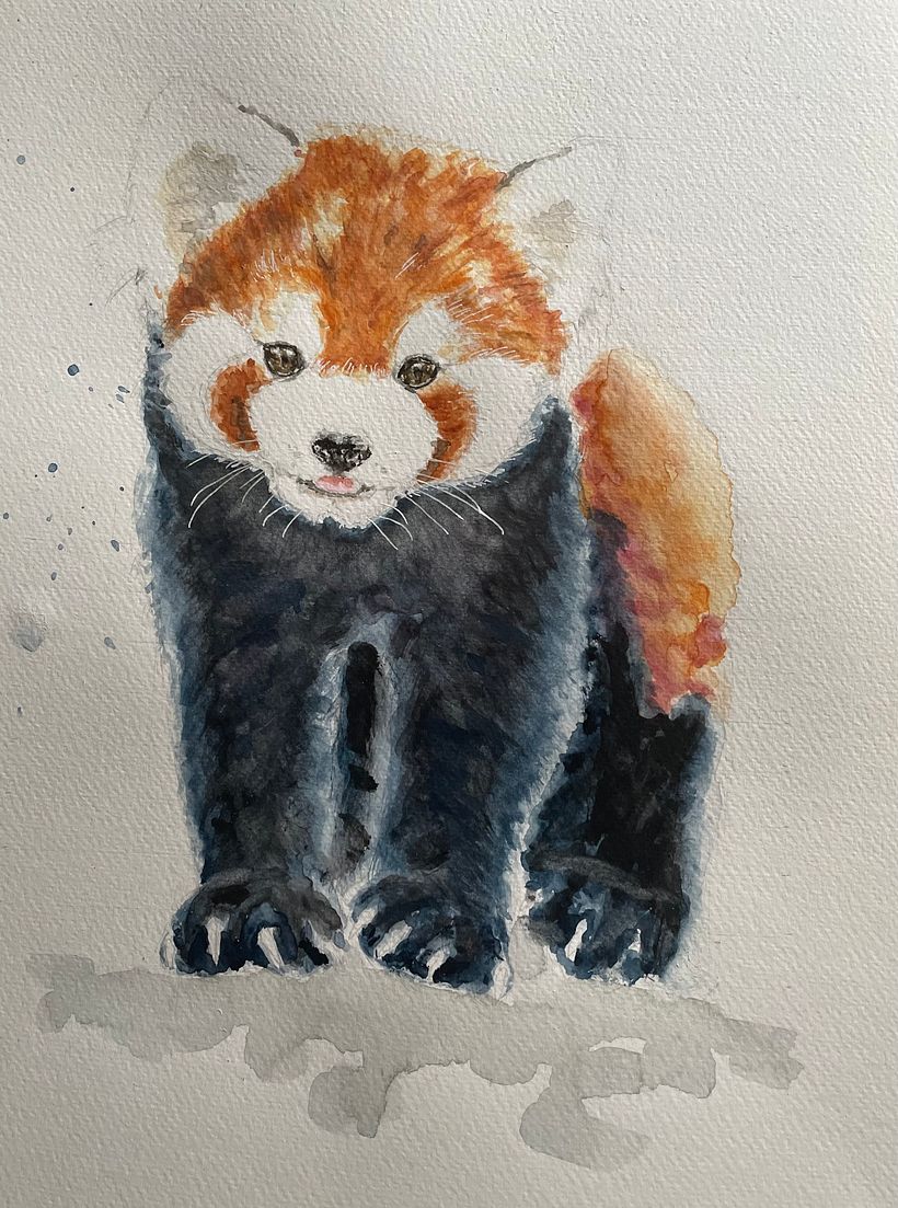 Expressieve dieren 1