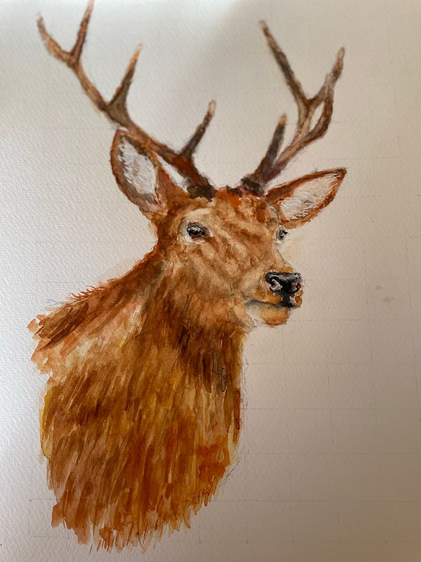 Expressieve dieren 2