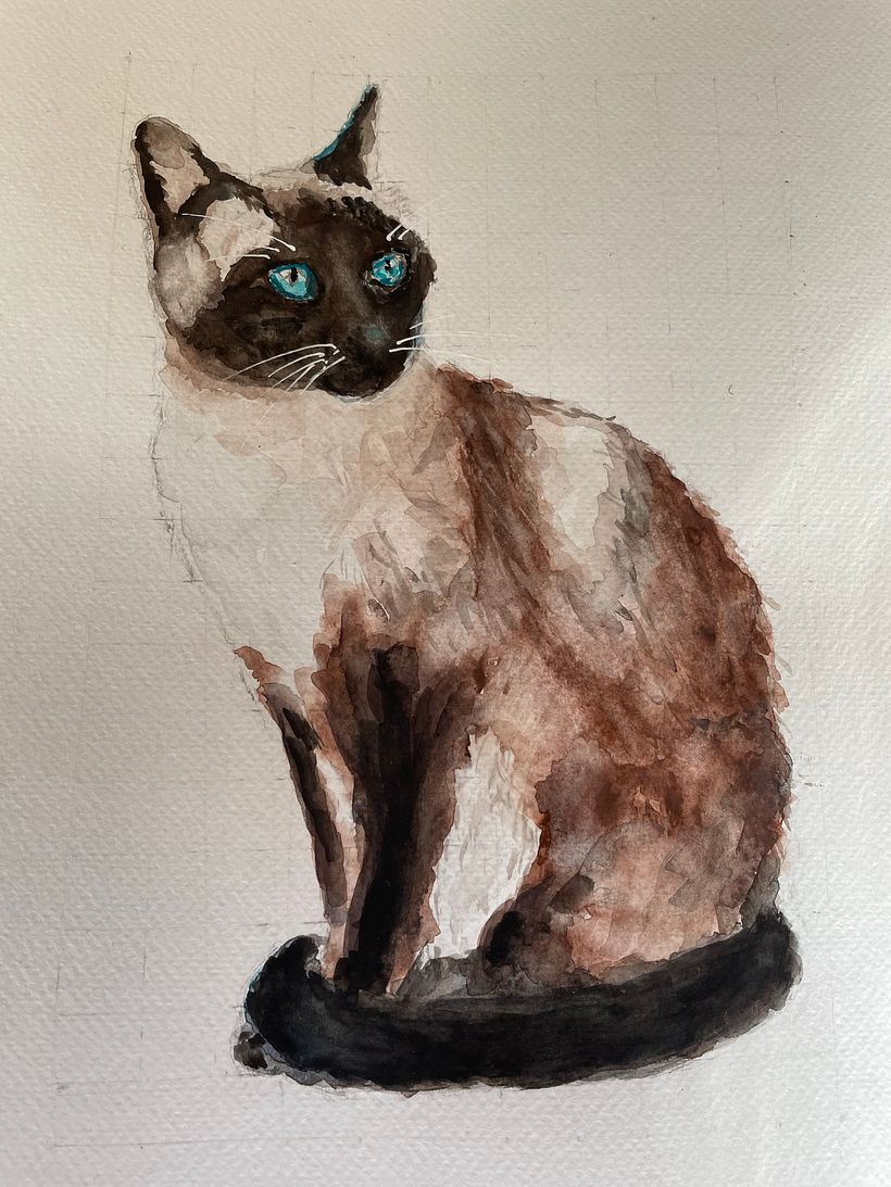 Expressieve dieren 3