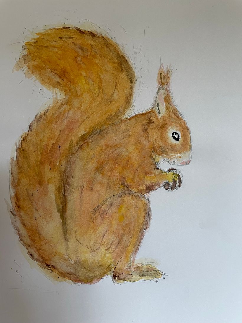 Expressieve dieren 5