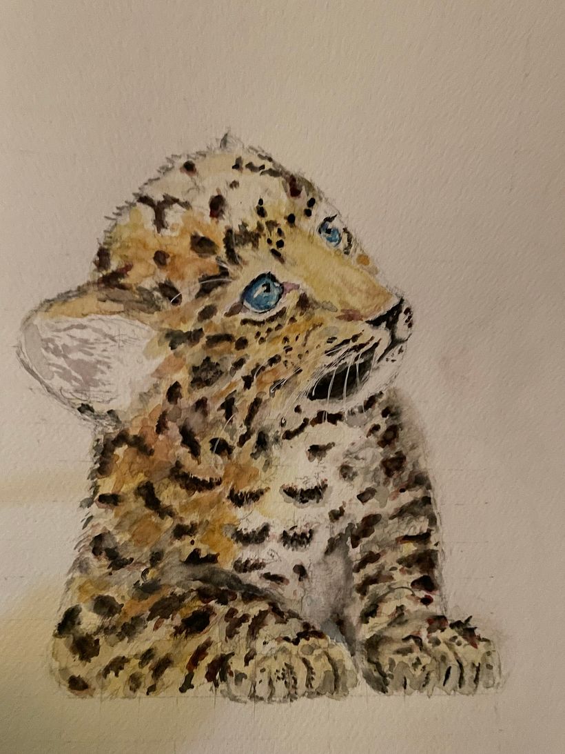 Expressieve dieren 6