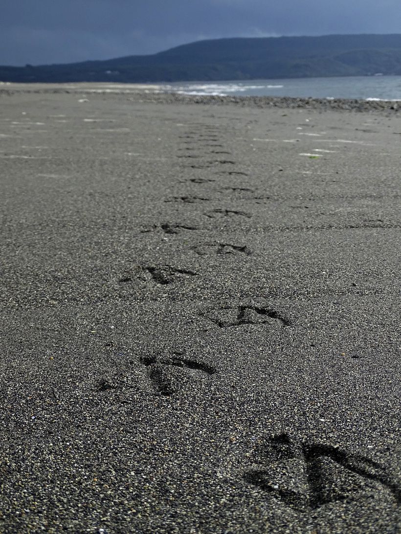 Semana en Chiloé 2