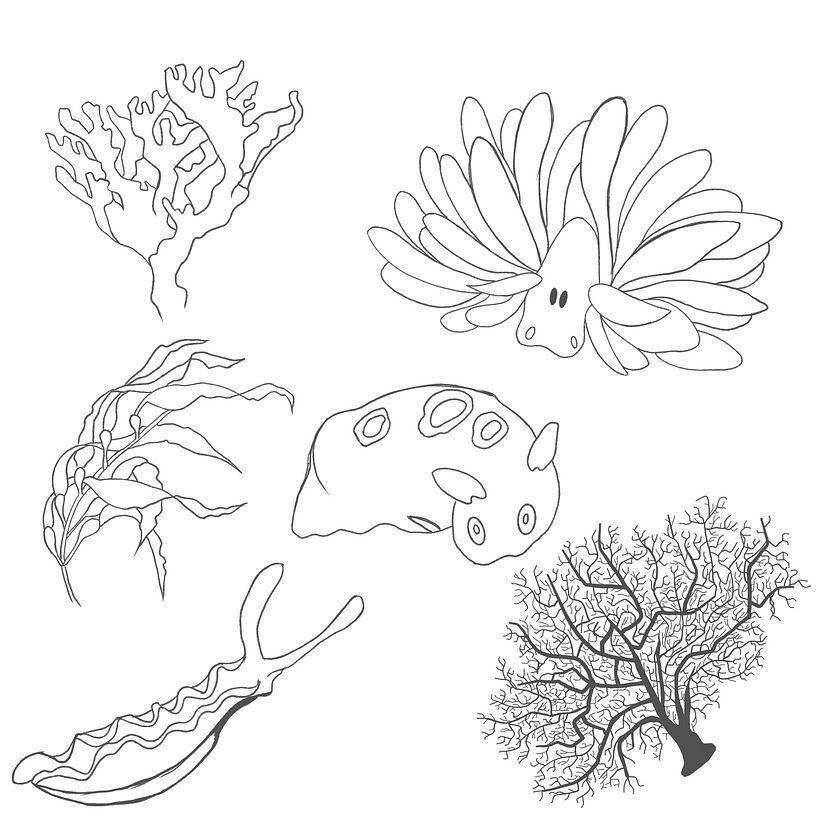 Line drawing of my main elements