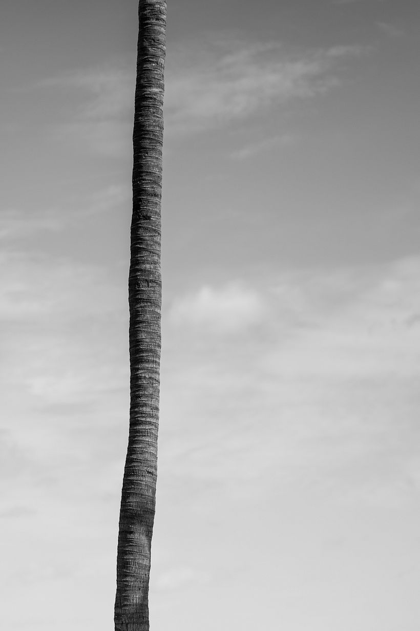 MIAMI 3