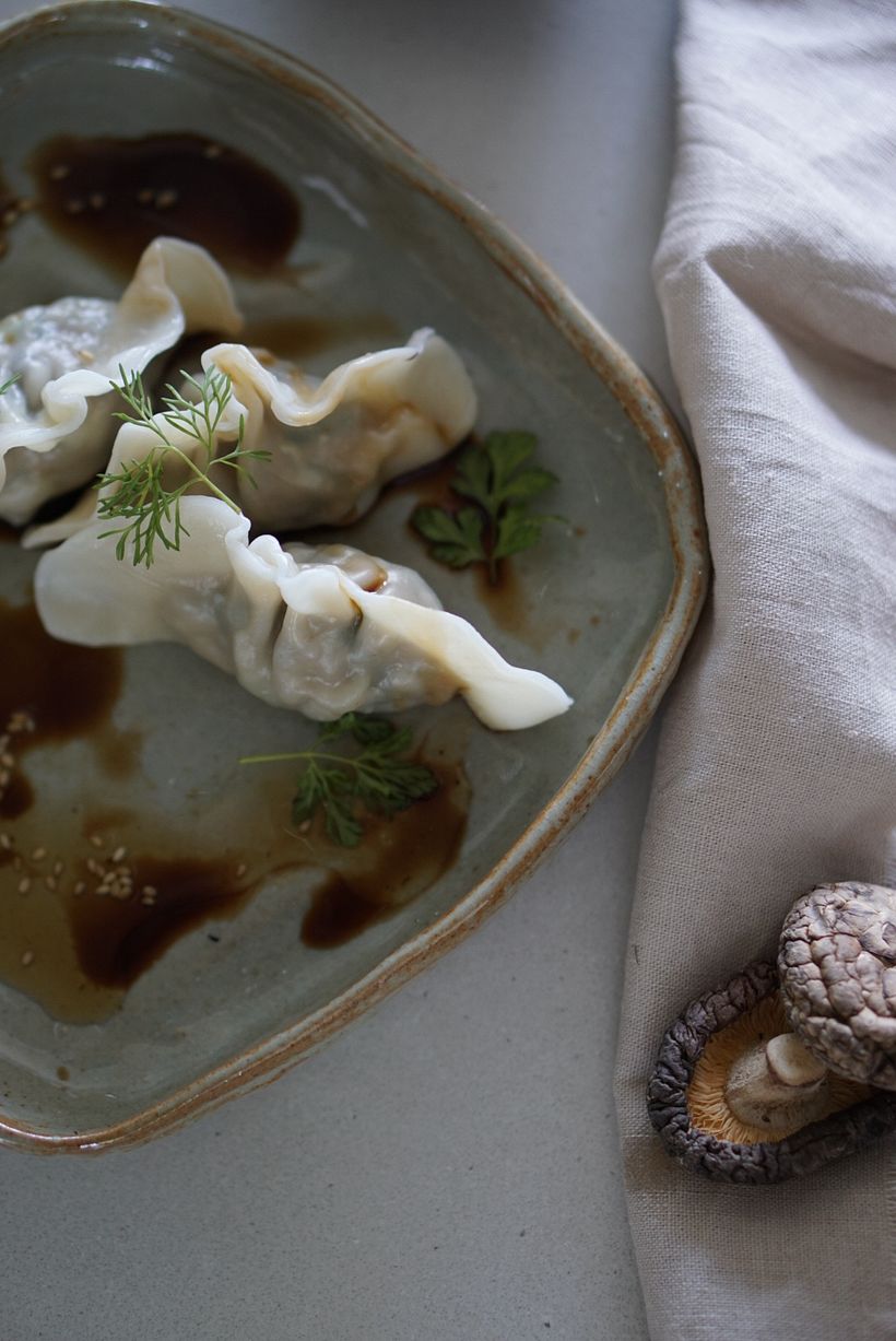 My project for course: Food Styling: The Art of Plating : Dumplings 3