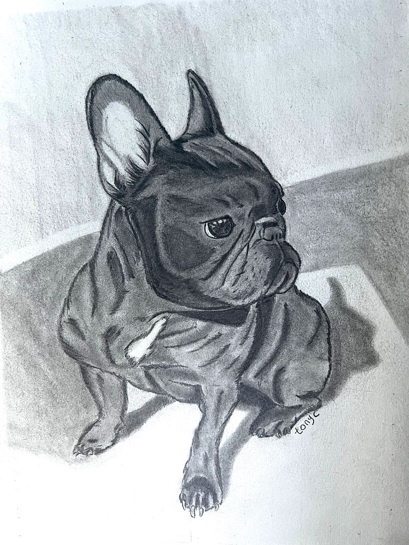 Rosie realistic Potrait 1