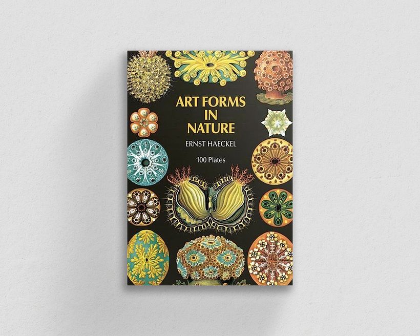 Art Forms in Nature by Ernst Haeckel.