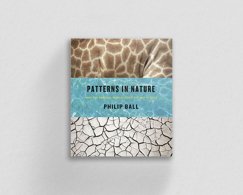 Patterns in Nature, by Philip Ball.