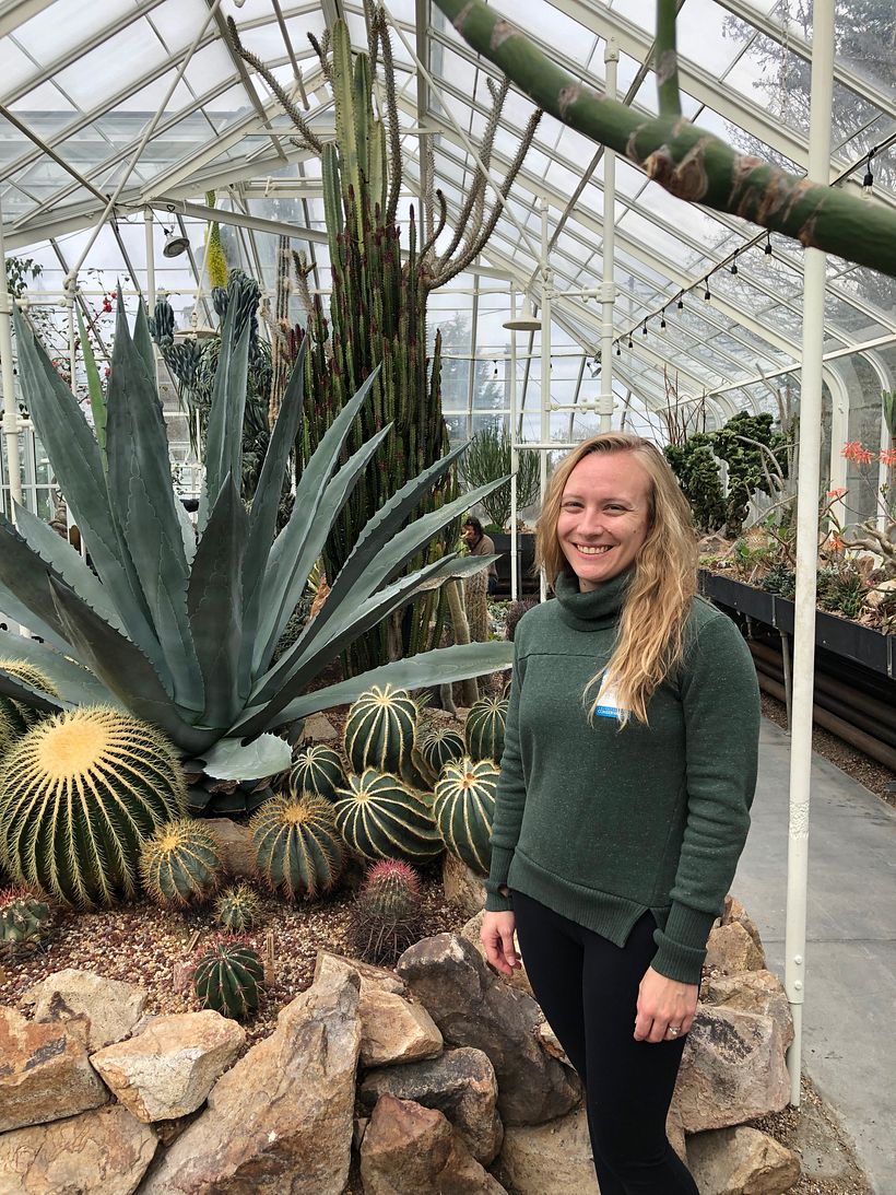 Plant Inspired Embroidery 2