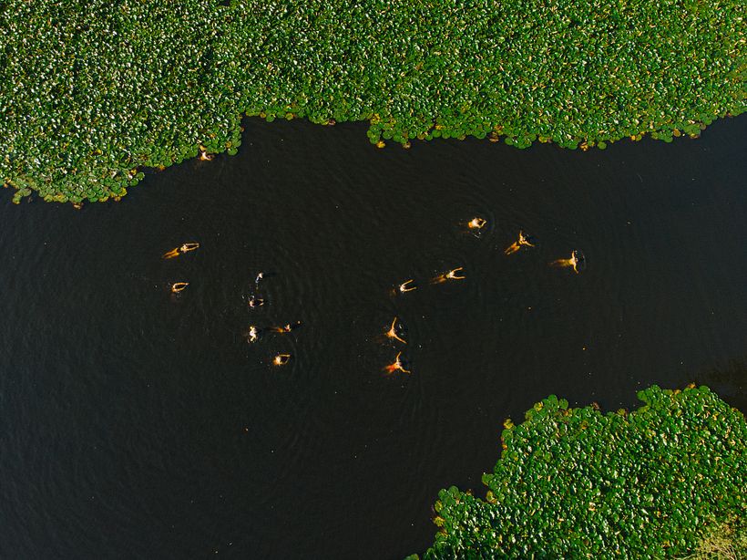 The Good Life Society 13