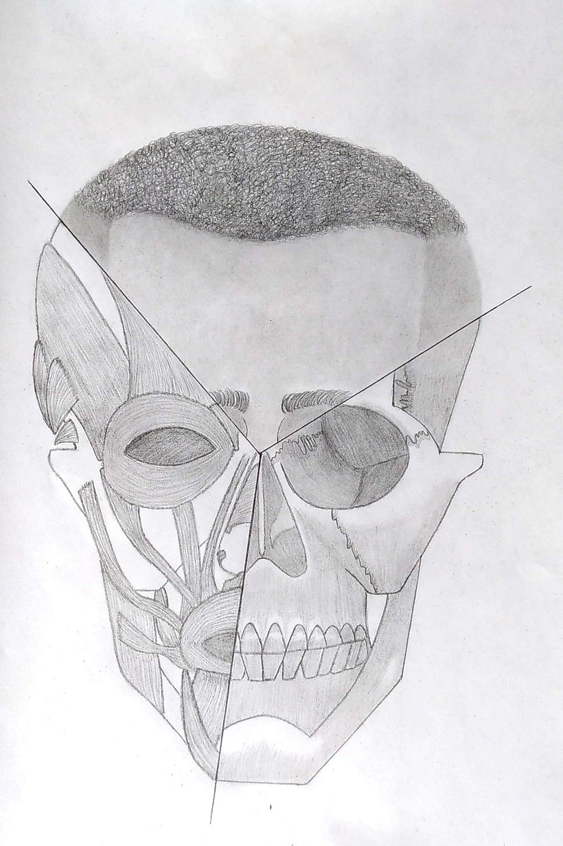 My project for course: Figure Drawing: The Human Head 1