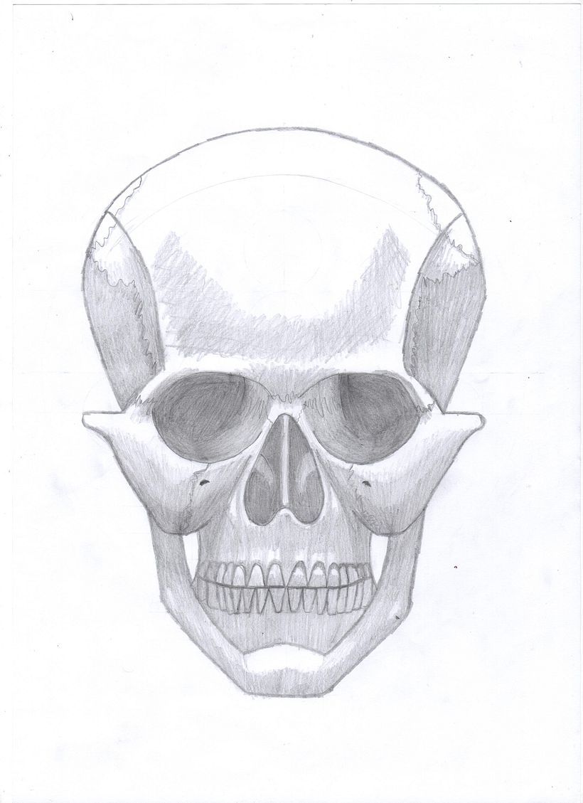My project for course: Figure Drawing: The Human Head 3