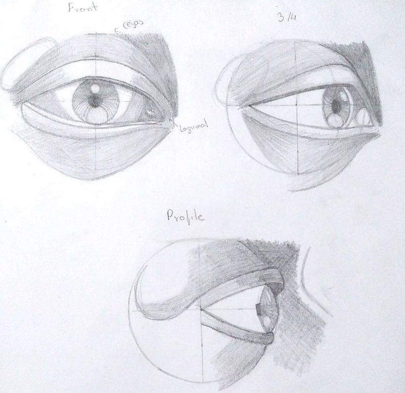 My project for course: Figure Drawing: The Human Head 4