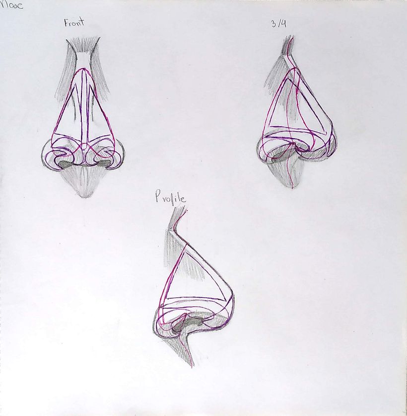 My project for course: Figure Drawing: The Human Head 6