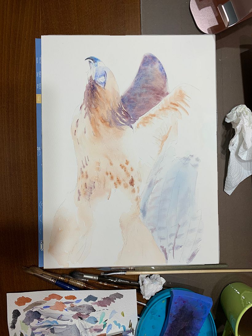 Mi Proyecto del curso: Retratos expresivos de animales en acuarela 4