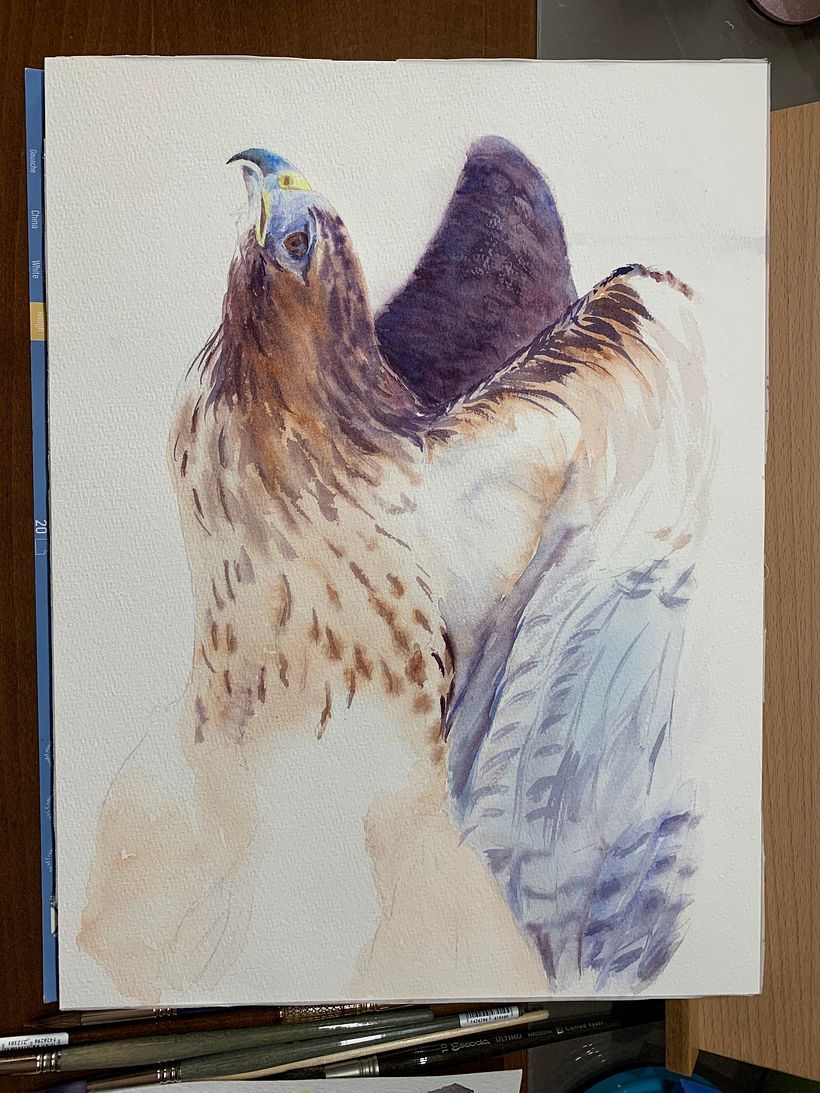 Mi Proyecto del curso: Retratos expresivos de animales en acuarela 5