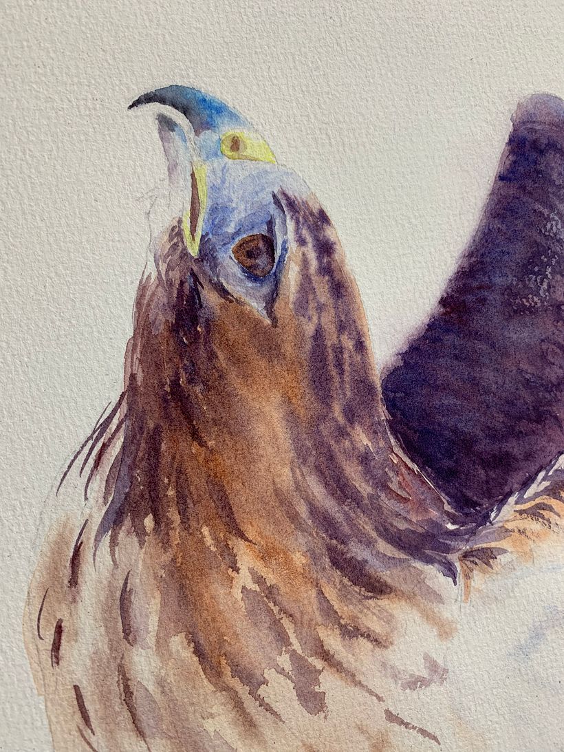 Mi Proyecto del curso: Retratos expresivos de animales en acuarela 6