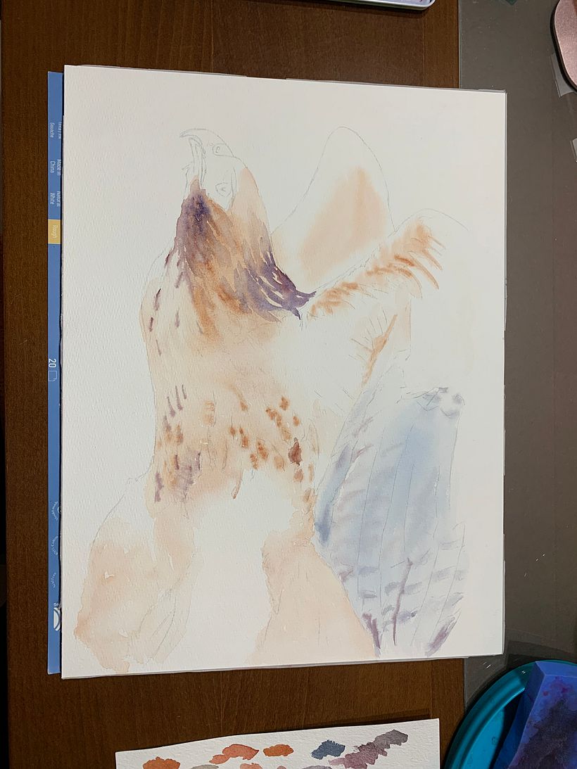 Mi Proyecto del curso: Retratos expresivos de animales en acuarela 2
