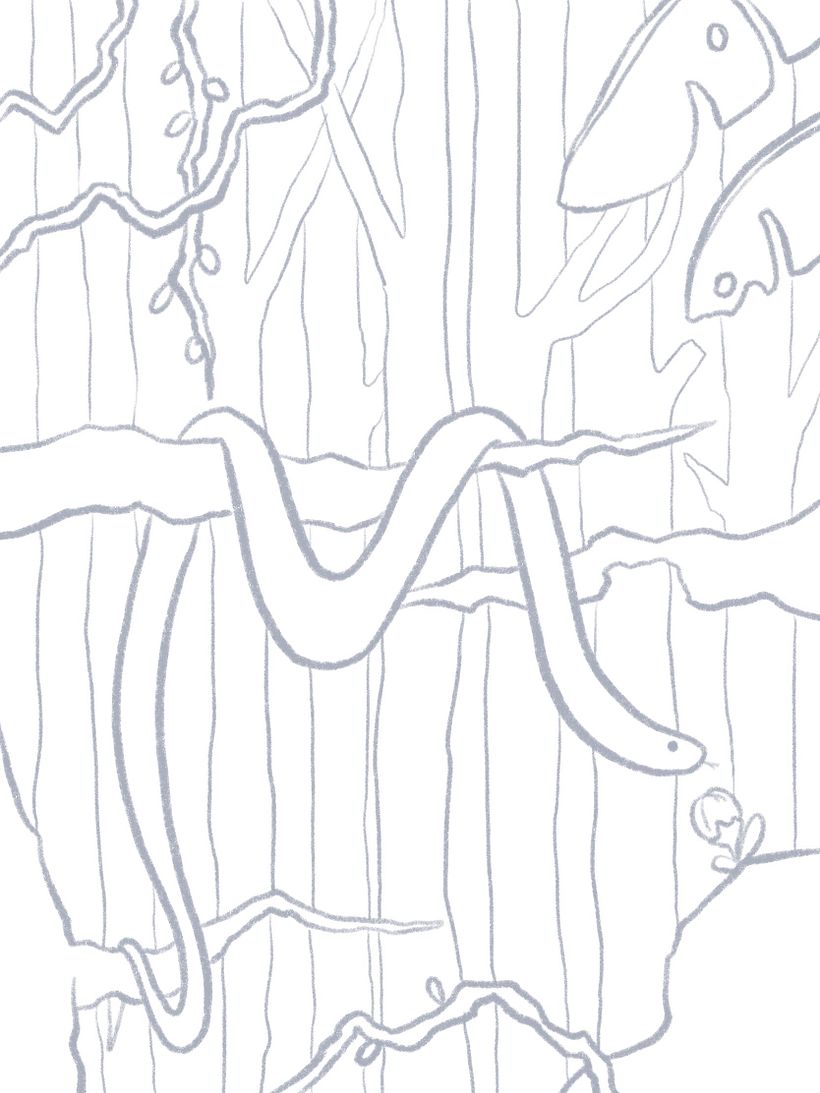 Sketch