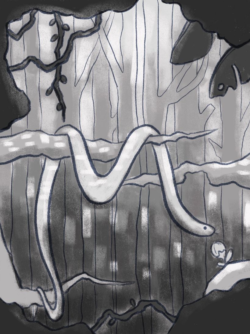 Value Sketch