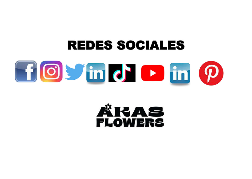 Mi Proyecto del curso: Introducción al community management 4