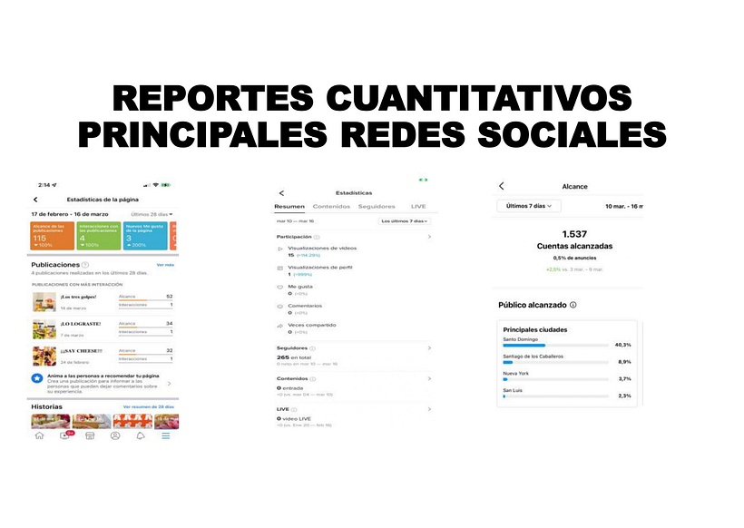 Mi Proyecto del curso: Introducción al community management 5
