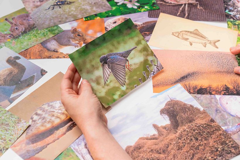 Immerse yourself in nature (this was our mock-up in the Domestika studios!)